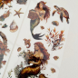 Preview: Mermaid Set 5, 5-teilig Rub On Aufkleber + Glittereffekt Creme