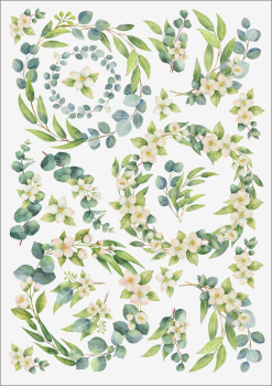 3D-Rub On Aufkleber - Eukalyptus Ringe - RB3-040