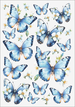 3D-Rub On Aufkleber - Schmetterlinge in Blau - RB3-048