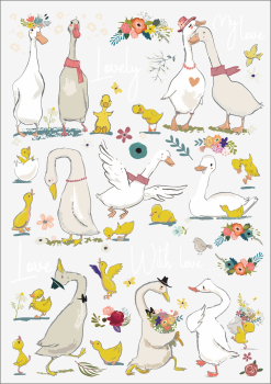 3D-Rub On Aufkleber - Enten - RB3-053