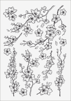 3D-Rub On Aufkleber - Kirschblüten - RB3-084