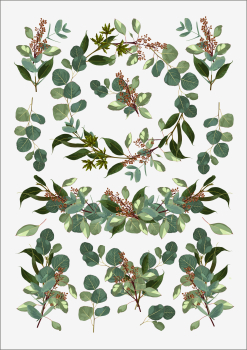 3D-Rub On Aufkleber - Eukalyptus Design - RB3-086