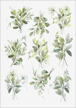 3D-Rub On Aufkleber - Eukalyptus Design - RB3-087