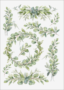 3D-Rub On Aufkleber - Eukalyptus Design - RB3-088