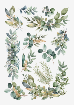 3D-Rub On Aufkleber - Eukalyptus Design - RB3-089