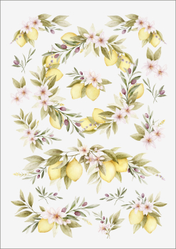 3D-Rub On Aufkleber - Zitronen und Oliven - RB3-090