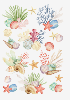 3D-Rub On Aufkleber - Muscheln - RB3-109