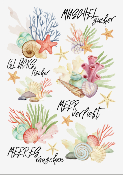 3D-Rub On Aufkleber - Muscheln - RB3-110