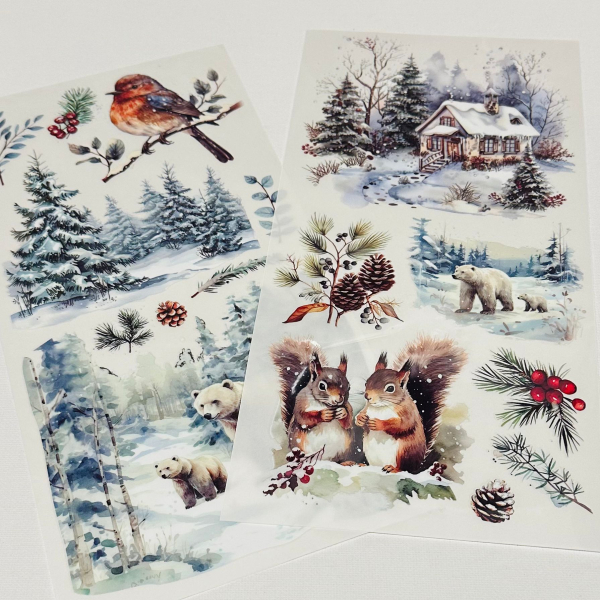 10.12.25 - Rub Ons mit Icy Pearls, Set Eisbär + Eichhörnchen, 6-teilig