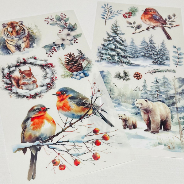 10.12.25 - Rub Ons mit Icy Pearls, Set Eisbär + Tiger, 6-teilig