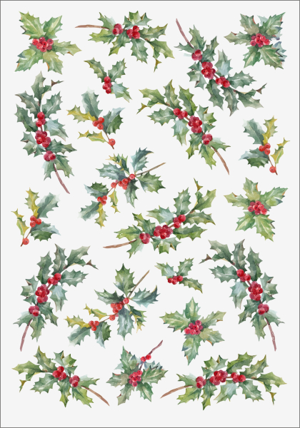 3D-Rub On Aufkleber - Ilex-1 - RB3-031