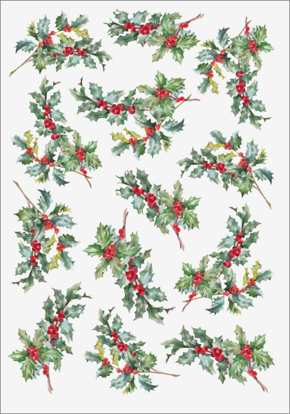 3D-Rub On Aufkleber - Ilex-2 - RB3-032