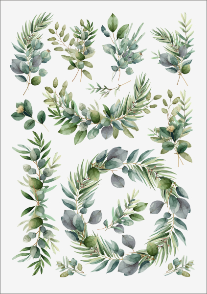 3D-Rub On Aufkleber - Eukalyptus Design - RB3-085