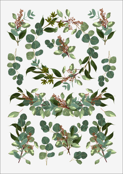 3D-Rub On Aufkleber - Eukalyptus Design - RB3-086