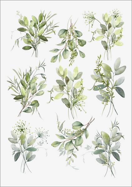 3D-Rub On Aufkleber - Eukalyptus Design - RB3-087