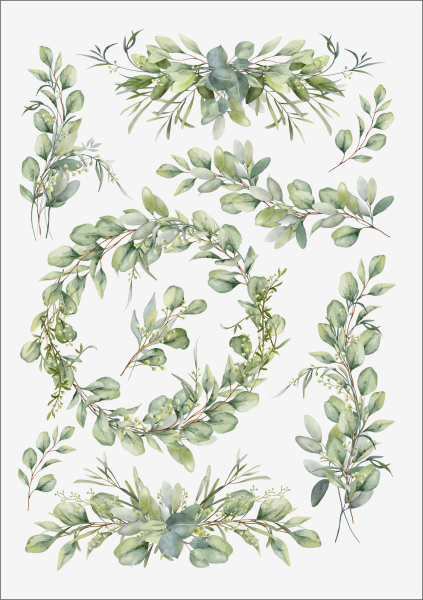 3D-Rub On Aufkleber - Eukalyptus Design - RB3-088