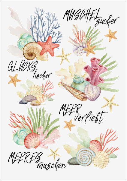 3D-Rub On Aufkleber - Muscheln - RB3-110