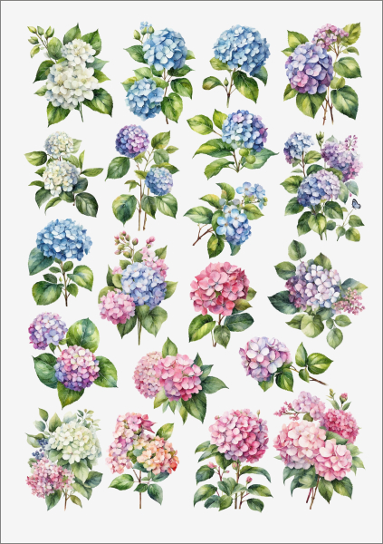 3D-Rub On Aufkleber - Hortensien - RB3-116