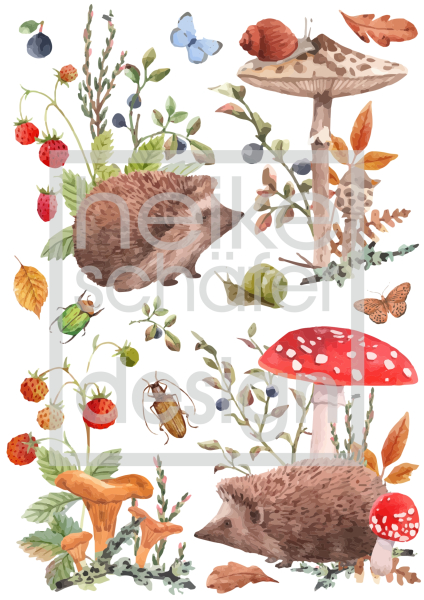 3D-Rub On Aufkleber - Herbstspaziergang-1  - RB3-157