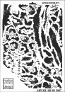 Schablone-Stencil A3 265-5067 Schlangenhaut