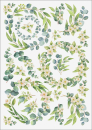 3D-Rub On Aufkleber - Eukalyptus Ringe - RB3-040