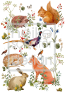 3D-Rub On Aufkleber - Tiere im Herbstwald - RB3-160